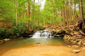 Картинка природа водопады водопад скалы река деревья лес