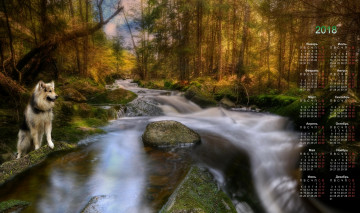 обоя календари, животные, камни, водоем, собака, растения