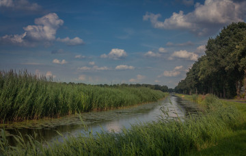 Картинка природа реки озера простор