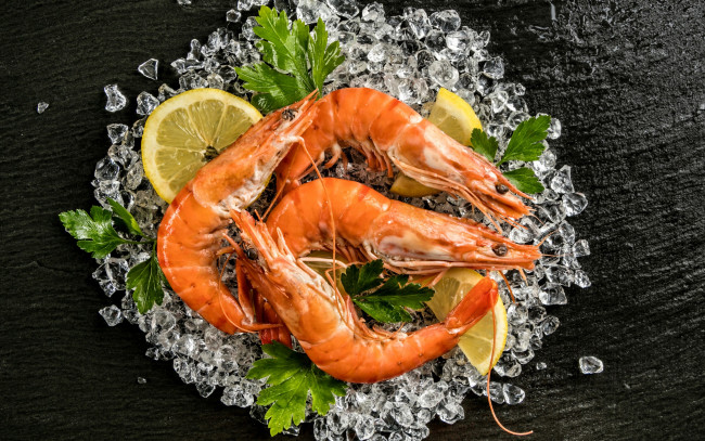 Обои картинки фото еда, рыба,  морепродукты,  суши,  роллы, лимон, лед, зелень, креветки, морепродукты