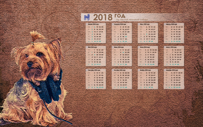Обои картинки фото календари, животные, фон, собака