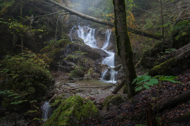 Обои картинки фото природа, реки, озера, ручей, речка, деревья, лес, осень