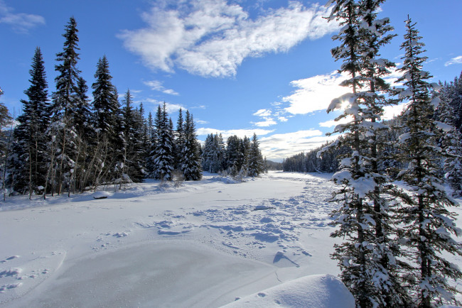 Обои картинки фото природа, зима, простор