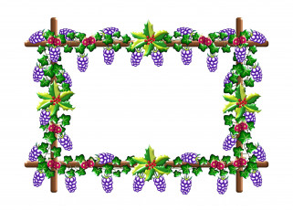 Картинка векторная+графика еда+ food виноград грозди