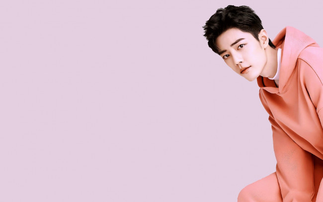 Обои картинки фото мужчины, xiao zhan, актер, толстовка