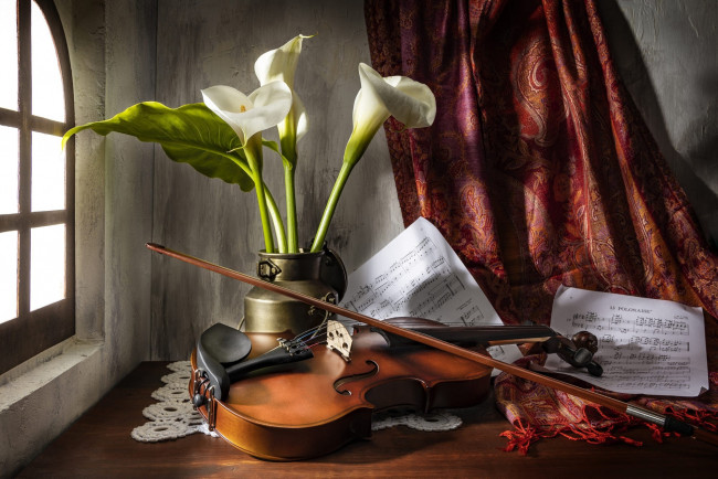 Обои картинки фото музыка, -музыкальные инструменты, скрипка, ноты, каллы, букет