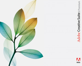 Картинка adobo creative suit компьютеры adobe
