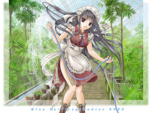 Картинка аниме miss surfersparadise