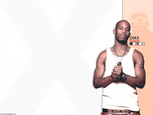 Картинка dmx музыка