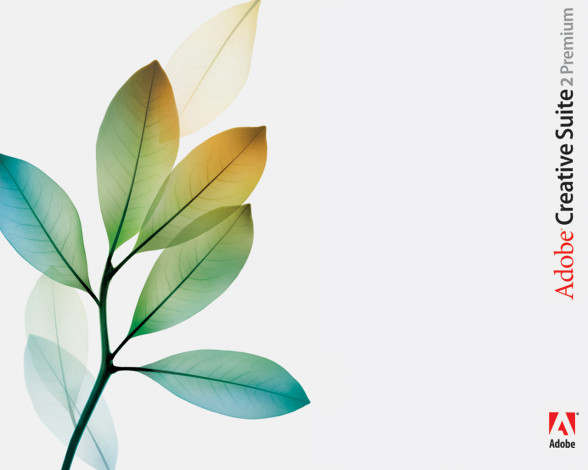 Обои картинки фото adobo, creative, suit, компьютеры, adobe