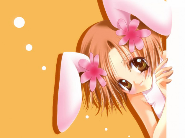 Обои картинки фото аниме, animals