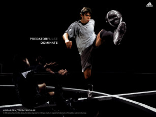 Картинка бренды adidas