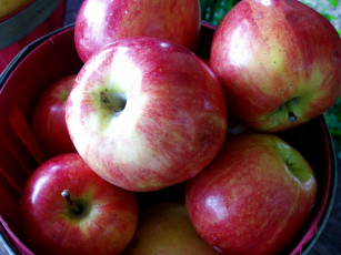 Картинка еда Яблоки