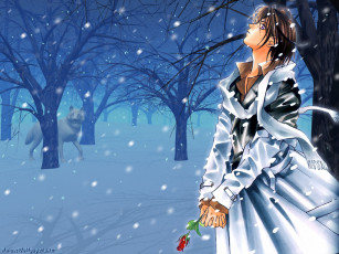 Картинка ynm аниме yami no matsuei