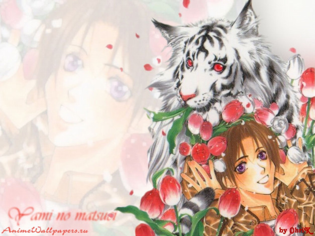 Обои картинки фото аниме, yami, no, matsuei