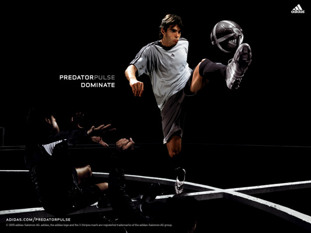 Обои картинки фото бренды, adidas