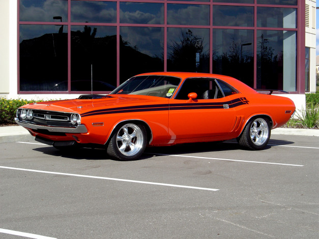 Обои картинки фото автомобили, выставки, уличные, фото