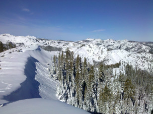 Картинка природа горы ель зима