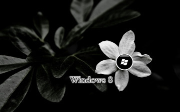 Картинка компьютеры windows цветок тёмный