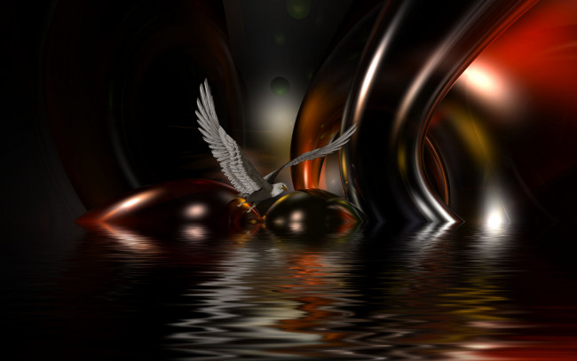 Обои картинки фото 3д, графика, animals, животные, птица, тёмный