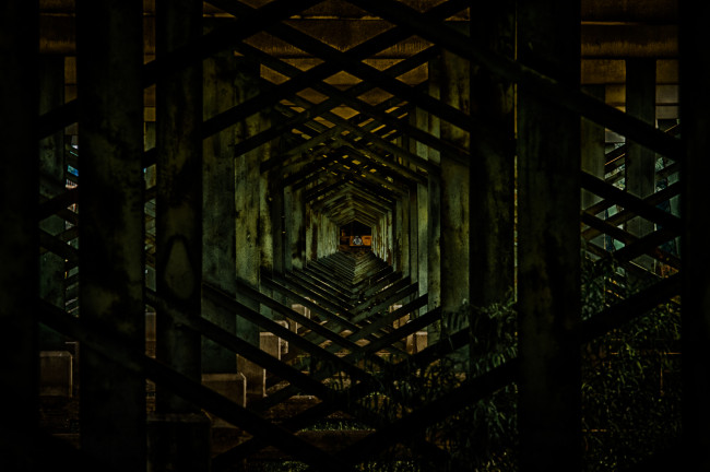 Обои картинки фото 3д, графика, fractal, фракталы, абстракция