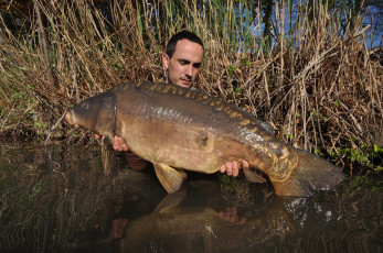 Картинка животные рыбы рыба улов