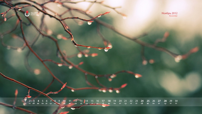 Обои картинки фото календари, природа, капли, ветки