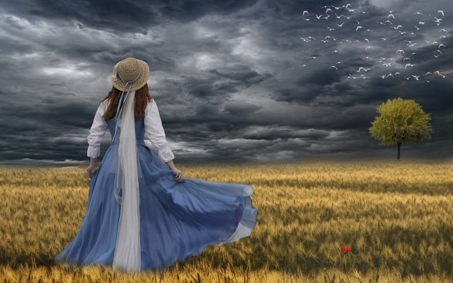 Обои картинки фото разное, компьютерный, дизайн, птицы, дерево, девушка, поле