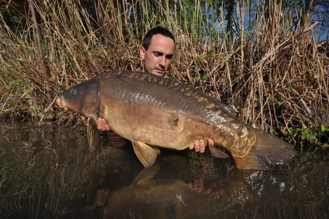 Обои картинки фото животные, рыбы, рыба, улов