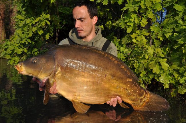 Обои картинки фото животные, рыбы, улов, рыба