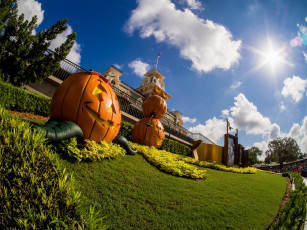 Картинка праздничные хэллоуин тыквы