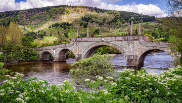 Картинка природа реки озера арки заросли река лес каменный мост холмы кусты трава