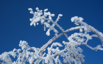 Картинка природа зима