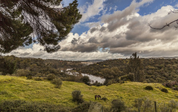 Картинка природа пейзажи панорама холмы деревья луга река