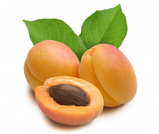 Обои картинки фото еда, персики, сливы, абрикосы, листья