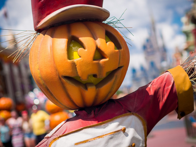 Обои картинки фото праздничные, хэллоуин, тыква