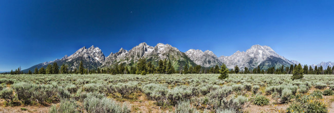 Обои картинки фото природа, горы, кустики, долина, лес