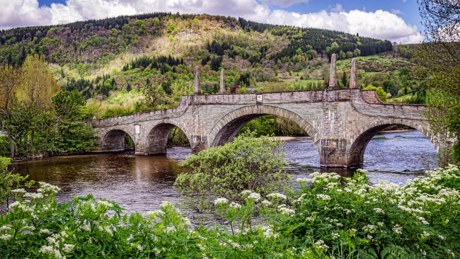 Обои картинки фото природа, реки, озера, арки, заросли, река, лес, каменный, мост, холмы, кусты, трава