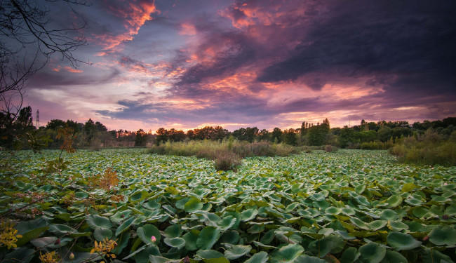 Обои картинки фото природа, реки, озера, лес, озеро, тучи, водная, растительность