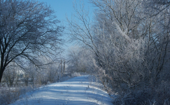 Обои картинки фото природа, зима