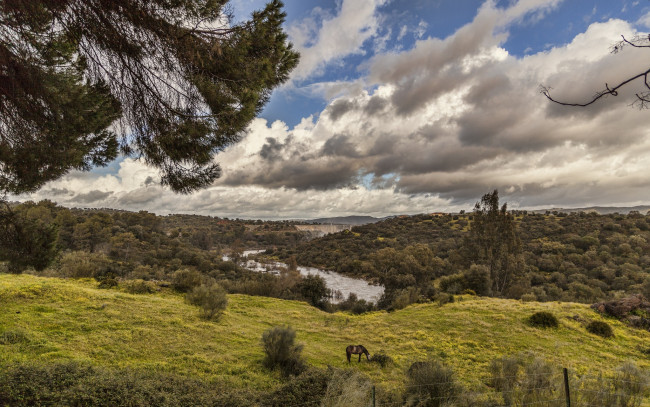 Обои картинки фото природа, пейзажи, панорама, холмы, деревья, луга, река