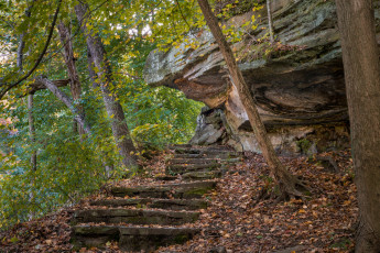 Картинка природа дороги лес тропа скалы