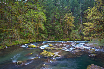 Картинка природа реки озера пороги река лес