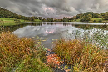 Картинка природа реки озера река лес осень