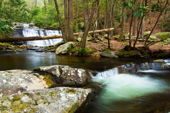 Картинка природа водопады лес река водопад