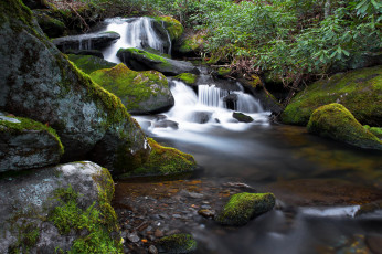 Картинка природа водопады лес водопад река