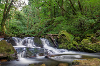 Картинка природа водопады водопад лес река