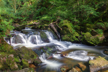 Картинка природа водопады водопад река лес