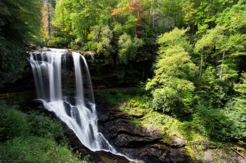 Картинка природа водопады водопад река лес