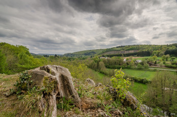 Картинка природа пейзажи пень лес холмы